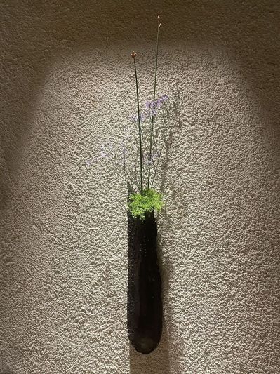一緒に働いて頂けるパートナー（正社員）を急募致します。の画像