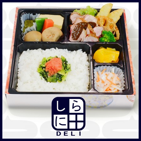 【しらに田デリ】焼き豚と明太高菜弁当  [幅19.5/奥19.5/高4.0]
